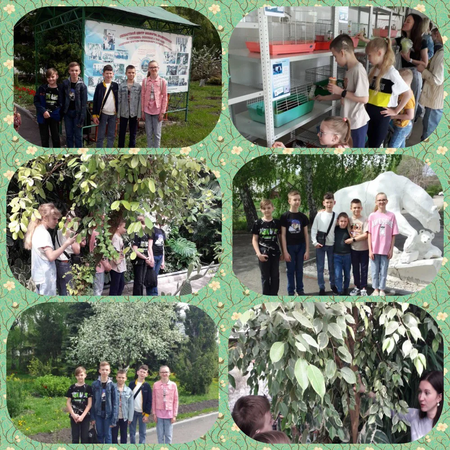 Интересный выходной - залог лёгкой недели