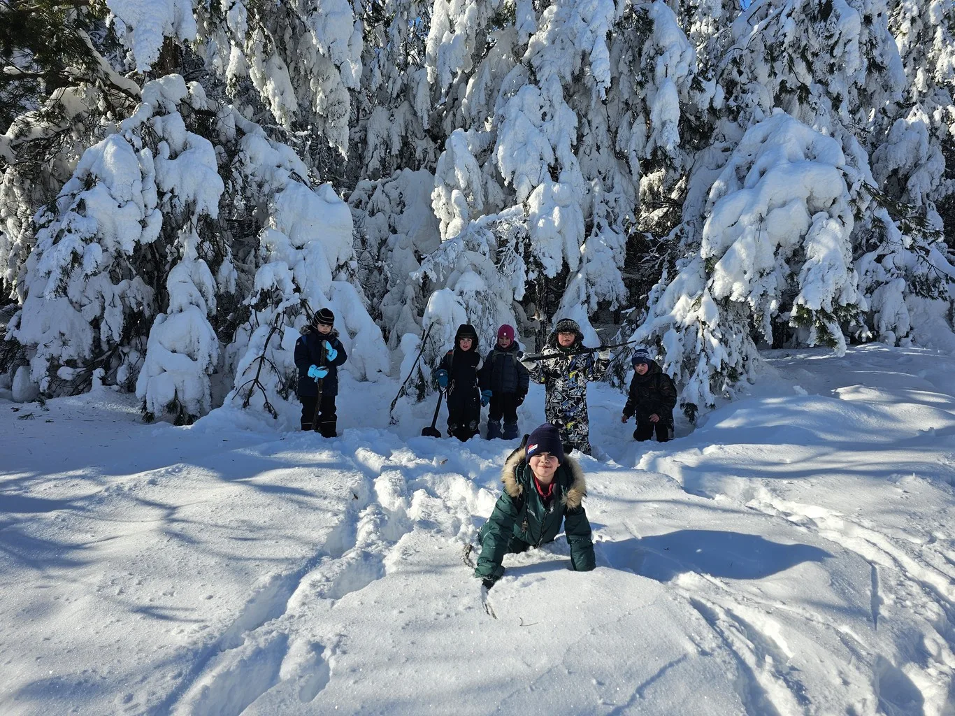 «Сказочная тайга»