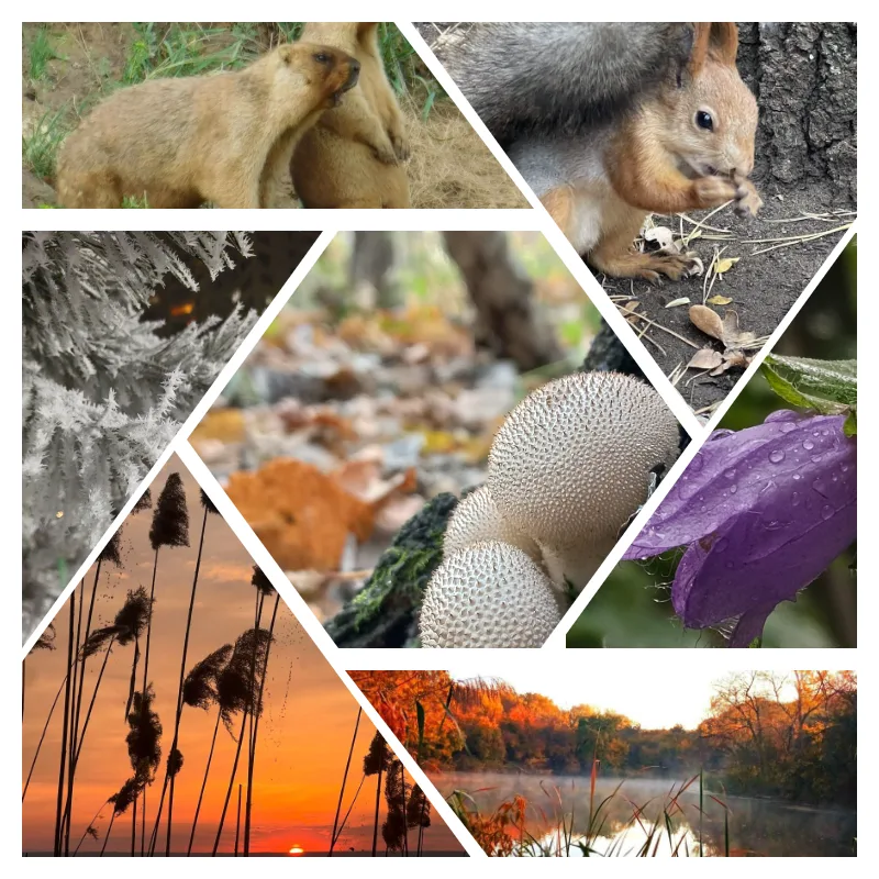 Подведены итоги областного конкурса фотографических работ   «Природа вокруг нас»