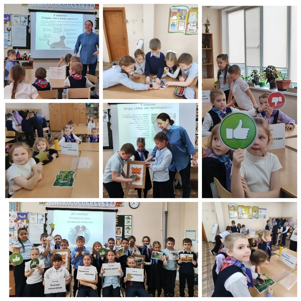 Наши любимые питомцы