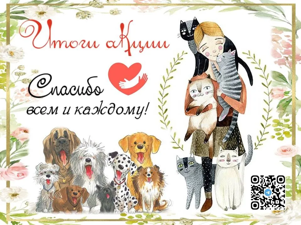 Региональная благотворительная акция помощи бездомным животным «Доброе сердце-2025/2026»