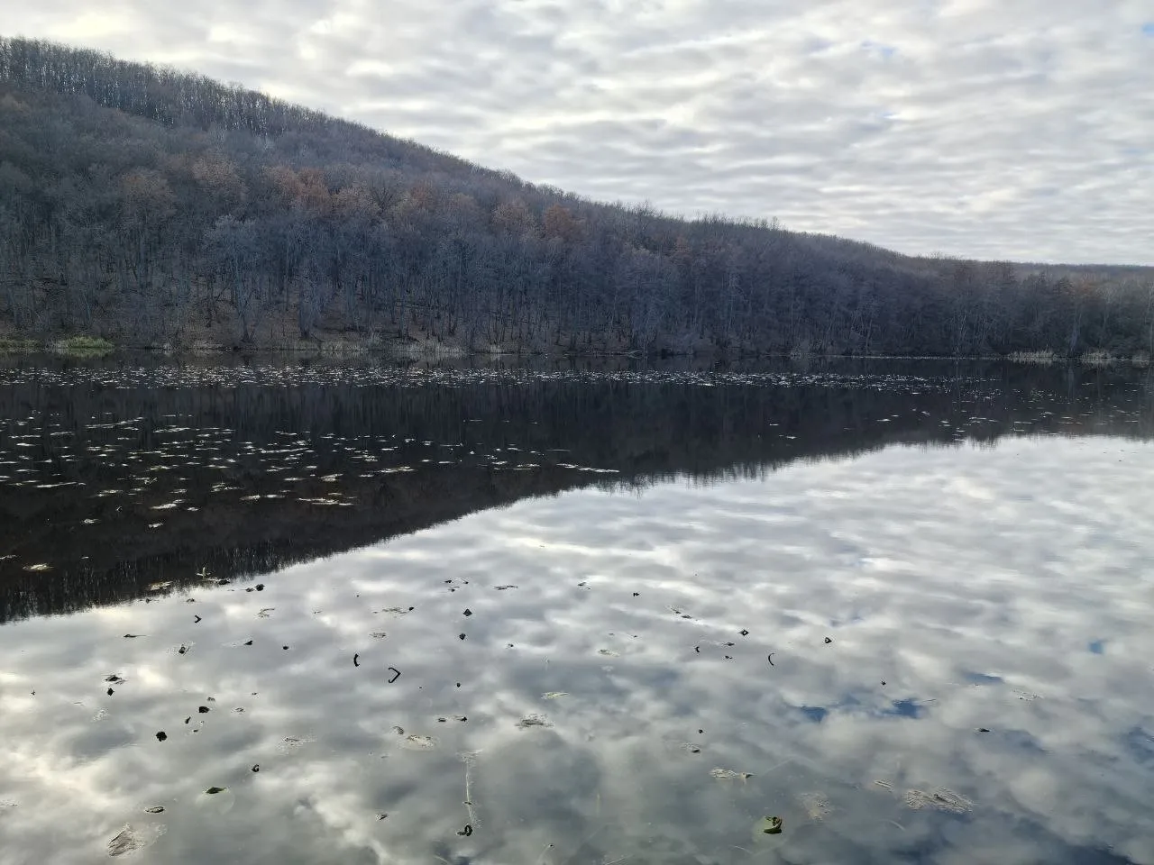 Педагоги ОЦЭКИТ исследовали природу памятника природы  «Урочище Лысая гора»