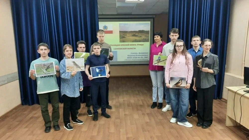 Птичий перезвон: голоса природы