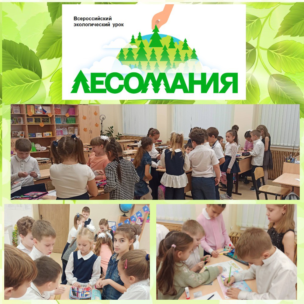 Экологический урок 2. Всероссийский экологический урок Лесомания. Экологический урок. Экологический центр. Экологический урок презентация.