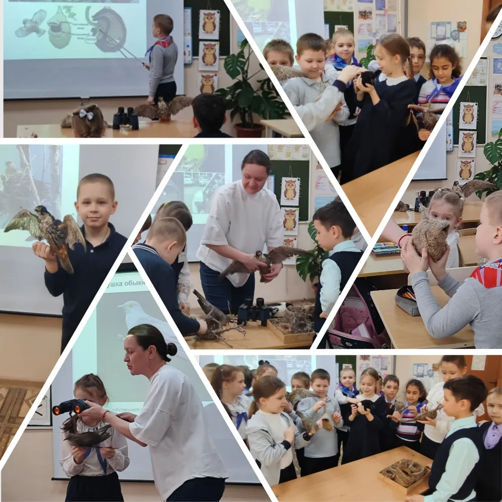 Обучающиеся ОЦЭКИТ побывали в гостях у пернатых архитекторов