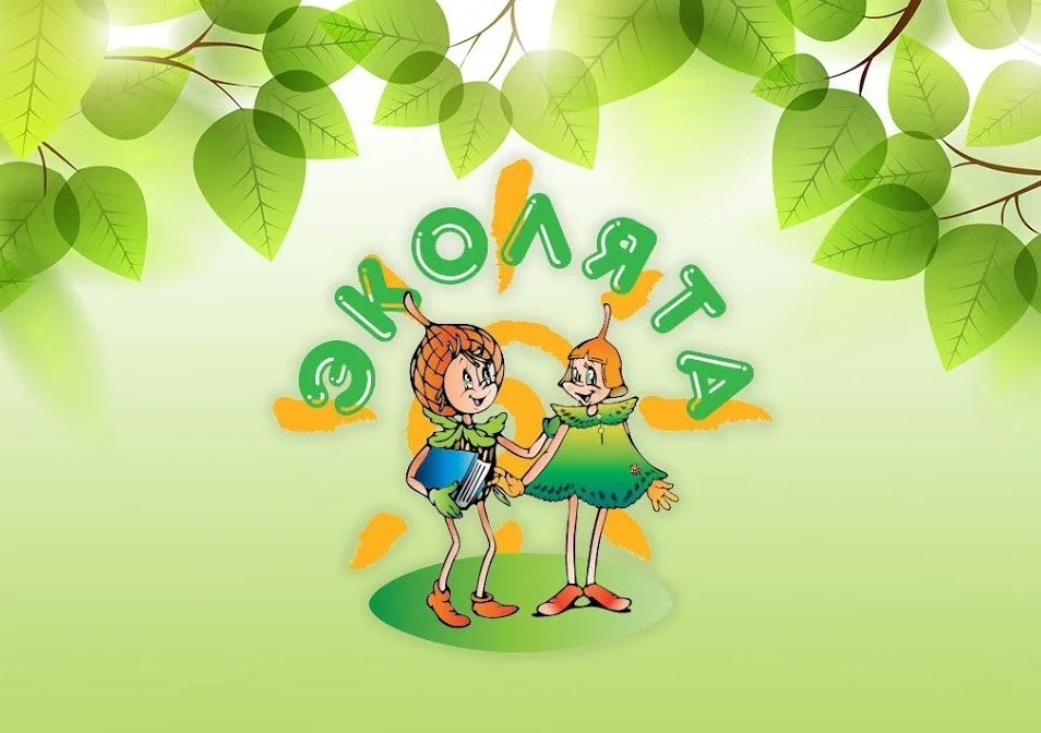 Подведены итоги регионального этапа Всероссийского (международного) фестиваля «Праздник Эколят - молодых защитников природы»