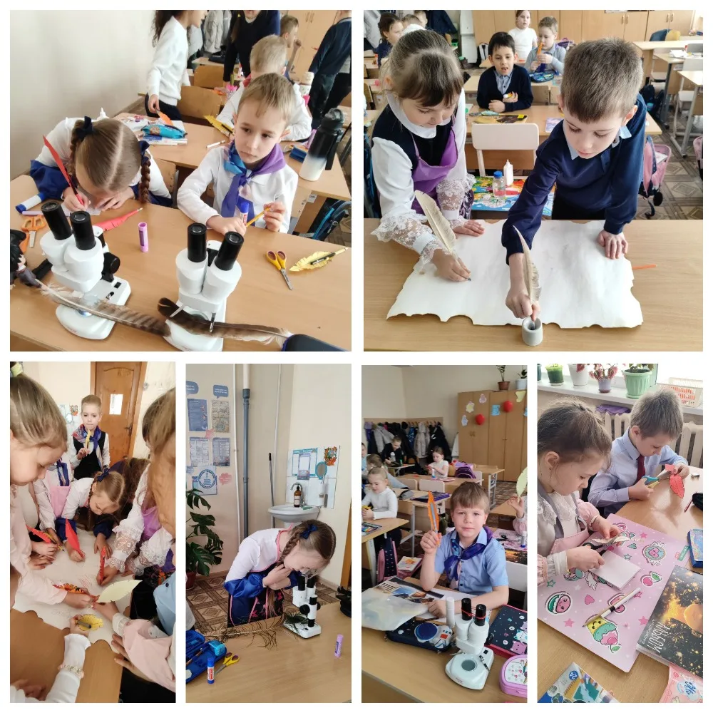 Волшебное путешествие в мир пернатых друзей